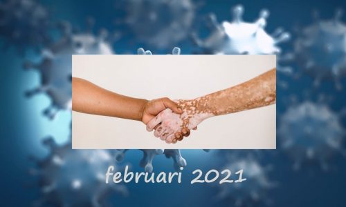 Nieuws februari 2021