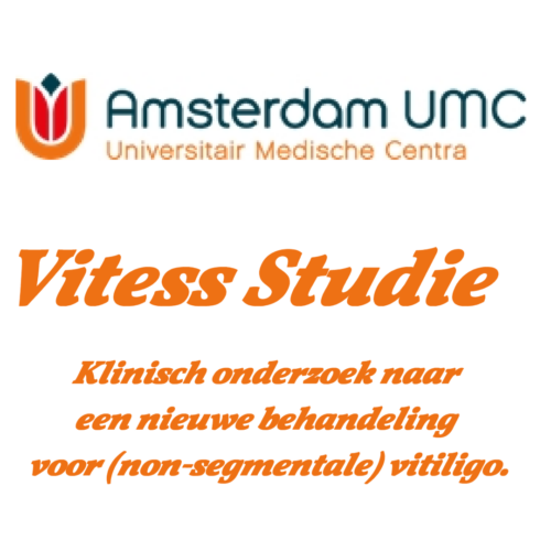 Vitess Studie